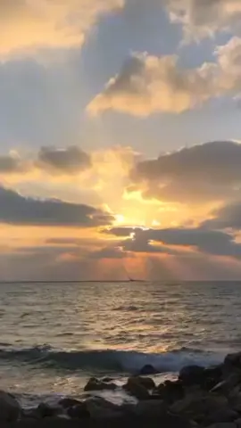 #fypシ #fypシ゚viral #foryoupage #راب_مصري #ويجز #اعيش_وجع_وحبيبي_يرتاح @Wegz اعيش وجع وحبيبي يرتاح😫💖