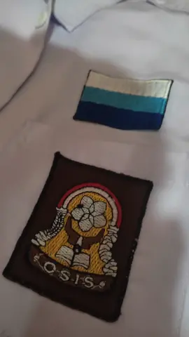 bojong yellow pride #smkn5bandung #barudakdimsul🇪🇪