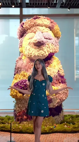 insta: sia_jiwoo ✨