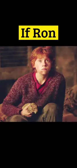 Did you notice this in HARRY POTTER??😂 #harrypotter #harrypottertiktok #crookshanks #scabberstherat #dobbythehouseelf #fyp #hogwarts #harrypotterdeathscenes #hermioneanddraco