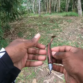 Kau berani bawa anak dpn mata aku babe⁉️ 😅1.8kg🔥#snakehead #mayeep #tamilanfishingclub🔥 #merdeka #bujuk #mancingmania #fypシ゚viral 