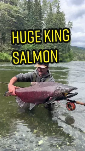 My biggest fish of the season on the spey! #speyfishing #flyfishing #kingsalmon #fyp #foryou 