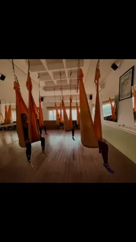 This is us…🧡🧡🧡 Ven a volar con nosotras en #yoghika ✨✨✨#antigravitybosquereal #antigravity #antigravityfitness #antigravityyoga #aerialyoga #aerialsilks #aerialskills #aerialdance #aerial #danzaaerea #acrobaciaaerea #theskyisthelimit #flow #fly #flywithme #flyhigh #yoga #vinyasaflow #antigravityteam #angels #girlsonfire #lovemyjob #lovemygirls #lovemyboys
