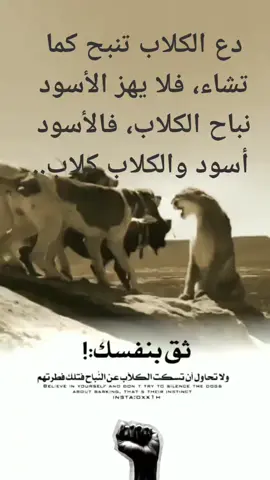 #اسد#الرد_على_الشبهات #christian #كلامى_لا_يزول #استحالة_تحريف_الكتاب_المقدس #