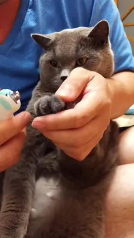 Pet Nail Clipper with LED Light Scissors for Pet Protection#petsuppliesplusgrooming #petsupply