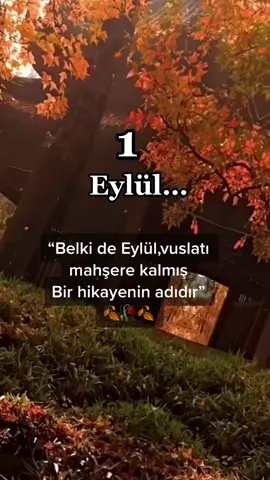 🍁Dedim ya Eylül dü…🍂Savruluşu bundan dı,kimsesizliğimin🍂🥀🍂#Eylül#hüzünayıdıreylül #duygusalsözler#hüzünlüvideolar #vuslatmahşerekaldı #hasretlikcekenler#ayrılıkvideoları #keşfet#sonbahar#tiktokkeşfet#imkansızaşklar#mesafeler#uzaktansevmek