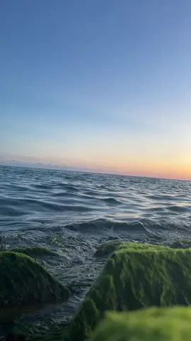 Video gốc dành cho ai thích nghe tiếng sóng biển hoặc dành cho ai có thể edit lại theo từng tâm trạng của mình ! #bien #song #hoanghon