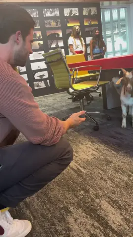 David, a true goat whisperer. #LOOKBOTHWAYS #bts 