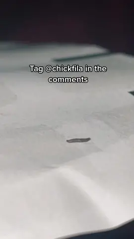 @Chick-fil-A wtf is this?! #chickfila #chickfilaworms #ReTokforNature #ew 