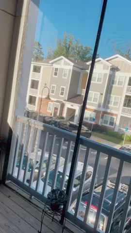 All items were bought from Home Depot, and please keep in mind we have a wooden balcony! I’d advise measuring your balcony so you know exactly what length plank you will need, and for the measurements when purchasing the screened mesh. 😊 #ReTokforNature #fypシ #foryou #ItsGreatOutdoors