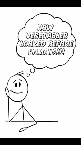 How vegetables looked before humans!!! 😳😎 This is a compilation of how various vegetables looked before as opposed to today! #fypシ #fyp #foryoupage