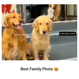 😍 #srilankanmemes #sinhala #viral #trending #memezzer #gohomegota2022 #fyp #funny #athal #sinhalajoke #🇱🇰 #sinhalameme #memezzer #srilankanmemes #sinhala #memepage #funnymemes #memes #meme 