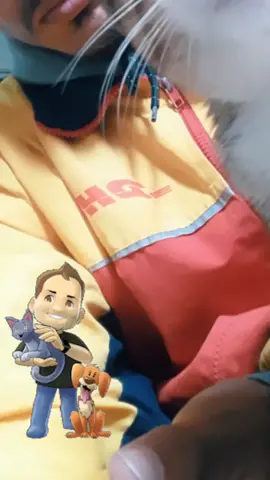 #Cosplay #carinho #gato #gat #❤ 