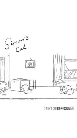 Spay and neuter! 🐱 ✂️ #spayandneuter #catlife #snipsnip