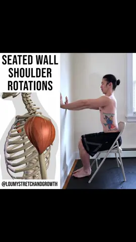 Shoulder Mobility Exercise #fyp #mobility #shouldermobility #exercise #workout