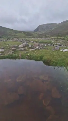 We found a natural spring!#fyp #foryou #viral ##Love#adventure @swogman96