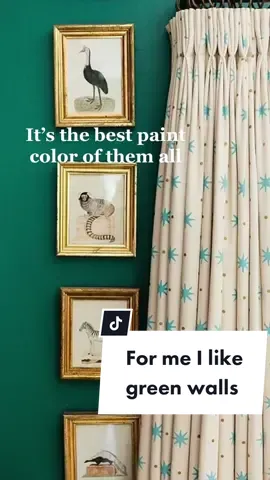 My ode to the green wall ☺️ I can’t get enough of them. Where is my green gang at? #greenwalls #greenpaint #greenkitchen #greenhome #homedecor #hometiktok