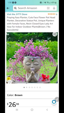 #plantlife she's cute. I thought it was bigger, but that's what I get for not reading the dimensions 😂