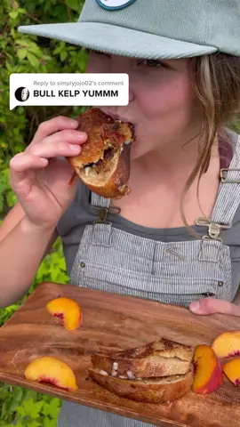 Replying to @simplyjojo02 BULL KELP IS SO YUM! Especially in our new product KELP CHILI CRISP! 🔥✨🤤💥 #barnaclefoods #kelp #bullwhipkelp #kelpchilicrispoil #chilicrisp #chilicrispoil #madeinak #grilledcheese #outdoorcooking #fyp 
