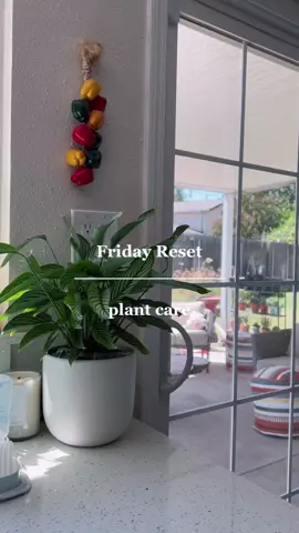 7/28 pictured 🌱 #fridayreset #plantcare #houseplantsoftiktok #houseplantscheck #plantmama #lifestyletiktok #CleanTok 