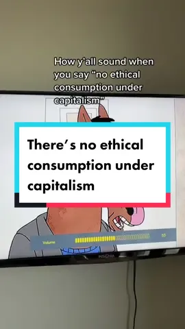 This show gets so much right #noethicalconsumptionundercapitalism #fastfashion #bojackhorseman #bojack #consumerism #Sustainability
