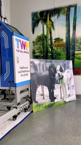 You’re not limited to printing only walls! Secure the desired material to the wall, print, and remove 🐶💛 #thewallprinter #newbusinessventure #businessopportunity #foryou #technology #floorprinter #highreturninvestment #investinyourself #entrepreneur #opportunities #viral #holdmecloser #puppy #dog #loveyouso #foryou