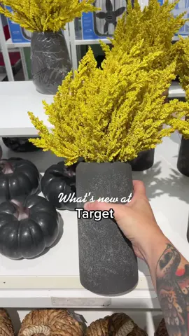 Fall decor finds from Target #targetfall2022 #targetfallfinds #targethomedecor2022 #sahmtiktokers 