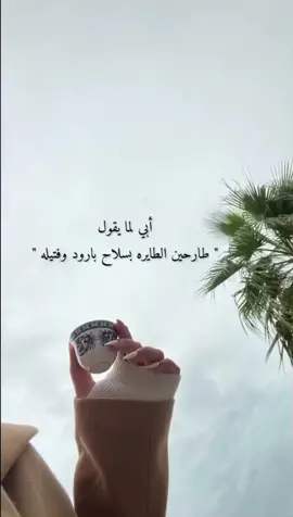 جايه اقفل الترند وامشي🏃#طارحين_الطائره 