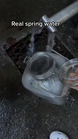 Find a spring near you #springwater #water #coldspring 