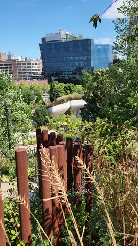 📍 Little Island, NYC   #littleislandnyc #nycgems 