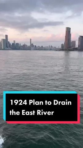 Did you know there was a plan to drain the East River and extended Manhattan? #nychistory #nyc #eastrivernyc #newyorkcity 