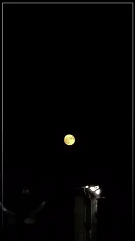 وا مەزانە کەنات بینم ئیتر حەزی نیگات ناکەم 🥺!#hawler #rebaz_m25 #slemani #tiktok 