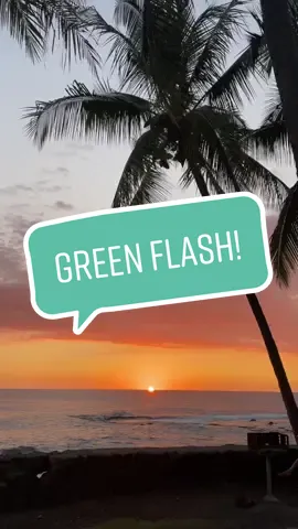 It’s a tradition at home Sweet treehouse to watch the Green Flash! Do you see it? 