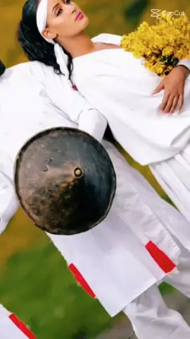 oromo culture illu abba bor version🌳#oromo #oromotiktok #oromoculture #oromomusic #❤🌳❤ #tokkummaoromo #🌳 #iluabbabora 