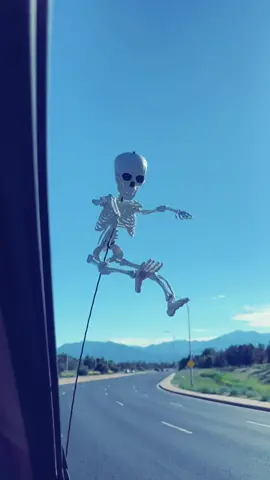 He is perfect 💀makes me laugh every time 😂 he is from Walmart @#miniskeleton #antennaskeletan #fyp #Halloween2022 #skeleton #fypシ 