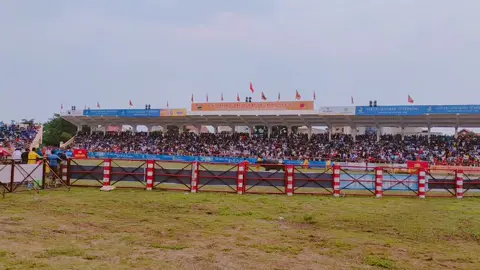 Dù ai buôn đâu bán đâuMùng chín tháng tám chọi Trâu thì vềLê Hội Chọi Trâu Đồ Sơn Hải Phòng năm 2022