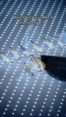 The end is so satisfying😍 #satisfying #sosatisfying #satisfyingvideo #satisfyingvideos #satisfaction 