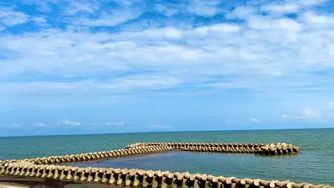 1 nơi chill mới 😃 Biển Bạch Long Nam Định #namdinh18🇻🇳 #hottrend #xuhuong 