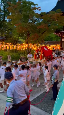 Matsuo Taisha Matsuri 🥰