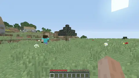 #wtf #minecraftmoment #random wtf