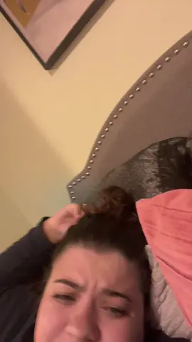 i truly don’t understand the appeal