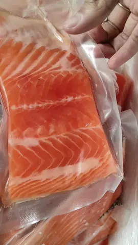 Salmon Segaar... cocok untuk sushi dan sashimi [drool]  biasa di masak @Faruk Cheff dan @Sisca Kohl . enaaak bgt nih. #suplierseafoodfrozen #tokoseafood #suplierseafood #seafoodmalang #seafoodmalanghits #kulinermala #malang #indonesia #tik_tok #viraltiktok