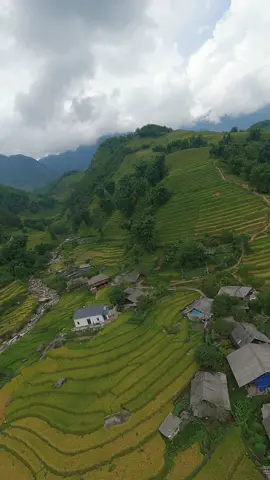 LƯỚT TRÊN LAO CHẢI SAPA #fpv  #drone  #xuhuong  #trip  #sapa  #laochai   #ruongbacthang