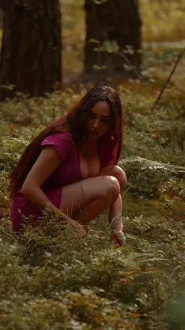 The search for blueberries 👀