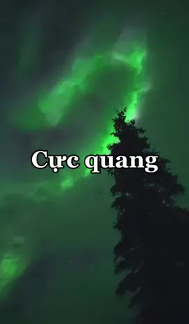 Ở Việt Nam chúng ta chỉ có thể ngắm nhìn cực quang qua màn hình #tiemcuago #aurora #foryou #fypシ