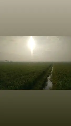 walau habis terang #walauhabisterang #noahband #peterpanband #sahabatnoah #sahabatpeterpan #purwokerto #purbalingga #banyumas #linggamas #banjarnegara #lagu #laguasik #intro 