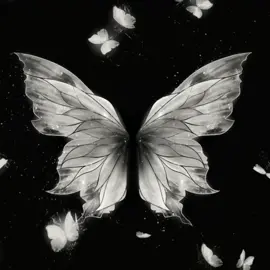 #wallpaper #livewallpaper#butterfelis🦋 #viciada_em_borboleta #4k