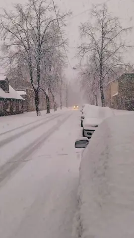 #letitsnow #fyp #fypシ #5pasidebine #misiuneatiktok #winter #christmas #snowing #feelingblessed #welcomewinter 