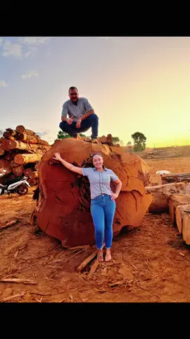 Serrando uma linda tora de Angelim pedra para pranchas de mesa ! #madeira #wood #woodwork #madeiralegal #manejo #angelin #pranchas #mesas #rustica