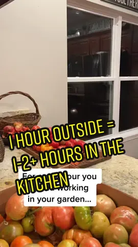 This is 1000% time well spent! #garden #tutorial #gardentok #homesteading #growyourownfood